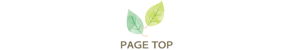 pagetop